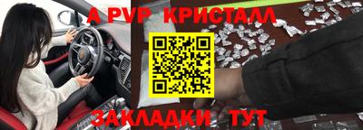гашик Берёзовский