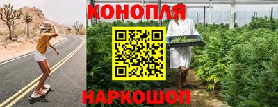 гашик Берёзовский