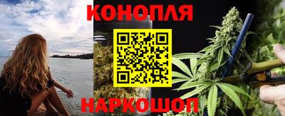 гашик Берёзовский
