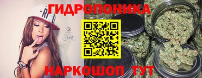 гашик Берёзовский