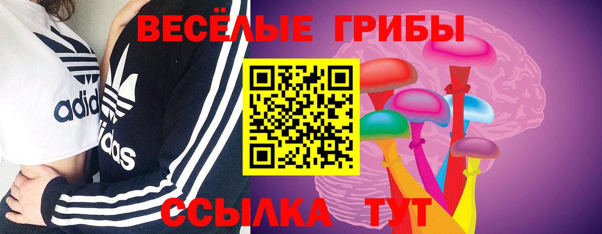 где можно купить   Галлюциногенные грибы мицелий  Вход с VPN  Кашира 